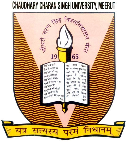 ccs logo